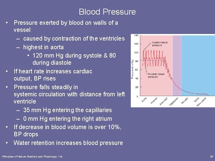Blood Pressure • Pressure exerted by blood on walls of a vessel – caused Blood Pressure • Pressure exerted by blood on walls of a vessel – caused