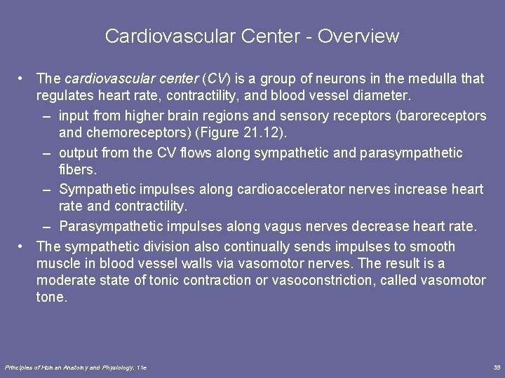 Cardiovascular Center - Overview • The cardiovascular center (CV) is a group of neurons Cardiovascular Center - Overview • The cardiovascular center (CV) is a group of neurons
