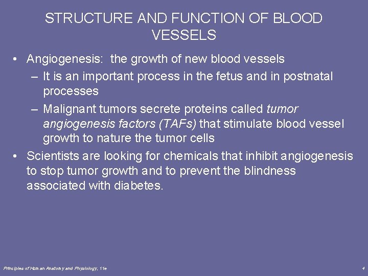 STRUCTURE AND FUNCTION OF BLOOD VESSELS • Angiogenesis: the growth of new blood vessels STRUCTURE AND FUNCTION OF BLOOD VESSELS • Angiogenesis: the growth of new blood vessels