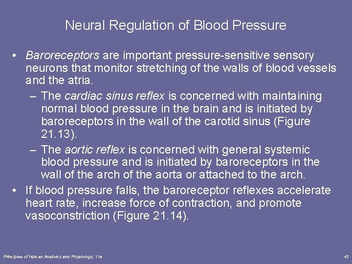 Neural Regulation of Blood Pressure • Baroreceptors are important pressure-sensitive sensory neurons that monitor Neural Regulation of Blood Pressure • Baroreceptors are important pressure-sensitive sensory neurons that monitor
