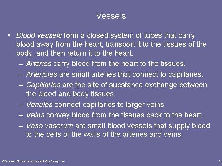 Vessels • Blood vessels form a closed system of tubes that carry blood away Vessels • Blood vessels form a closed system of tubes that carry blood away