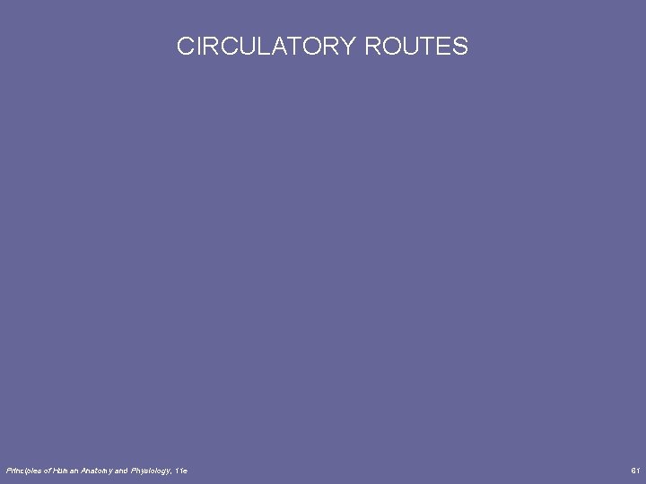 CIRCULATORY ROUTES Principles of Human Anatomy and Physiology, 11 e 61 CIRCULATORY ROUTES Principles of Human Anatomy and Physiology, 11 e 61