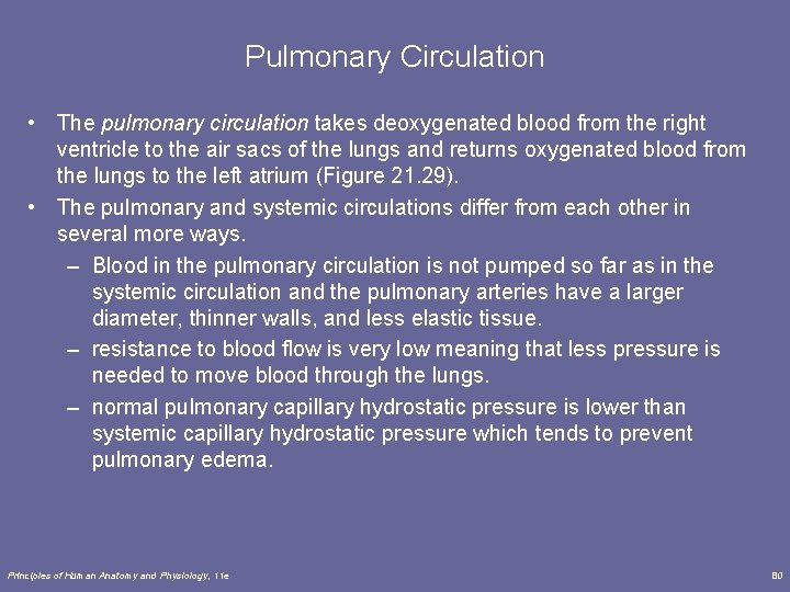 Pulmonary Circulation • The pulmonary circulation takes deoxygenated blood from the right ventricle to Pulmonary Circulation • The pulmonary circulation takes deoxygenated blood from the right ventricle to