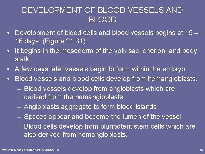 DEVELOPMENT OF BLOOD VESSELS AND BLOOD • Development of blood cells and blood vessels DEVELOPMENT OF BLOOD VESSELS AND BLOOD • Development of blood cells and blood vessels