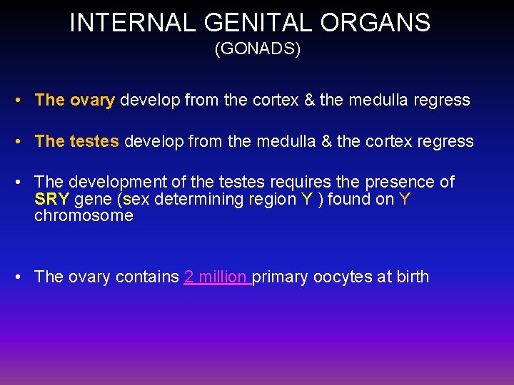 INTERNAL GENITAL ORGANS (GONADS) • The ovary develop from the cortex & the medulla