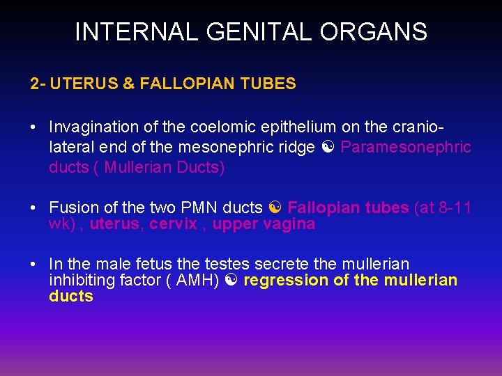 INTERNAL GENITAL ORGANS 2 - UTERUS & FALLOPIAN TUBES • Invagination of the coelomic