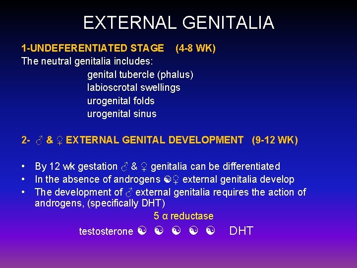 EXTERNAL GENITALIA 1 -UNDEFERENTIATED STAGE (4 -8 WK) The neutral genitalia includes: genital tubercle