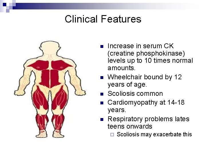 Clinical Features n n n Increase in serum CK (creatine phosphokinase) levels up to