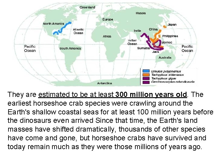 They are estimated to be at least 300 million years old. The earliest horseshoe