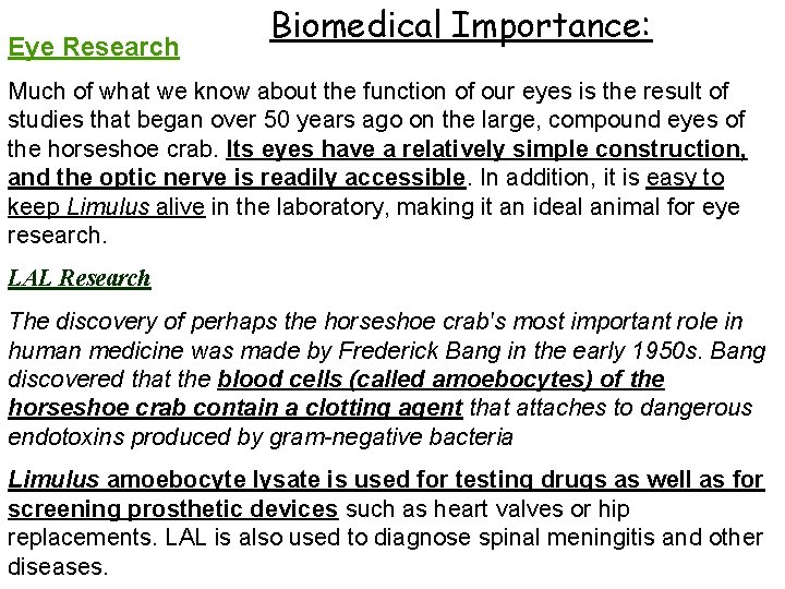 Eye Research Biomedical Importance: Much of what we know about the function of our