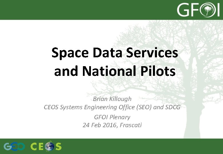 Space Data Services and National Pilots Brian Killough CEOS Systems Engineering Office (SEO) and