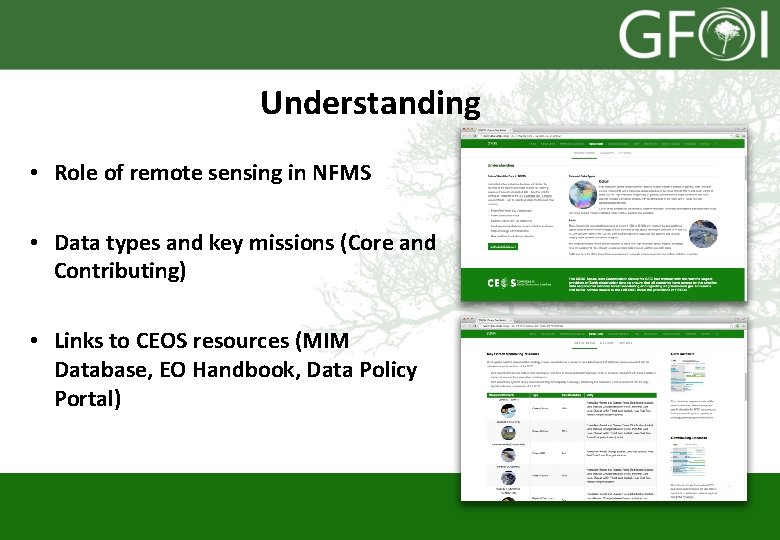 Understanding • Role of remote sensing in NFMS • Data types and key missions