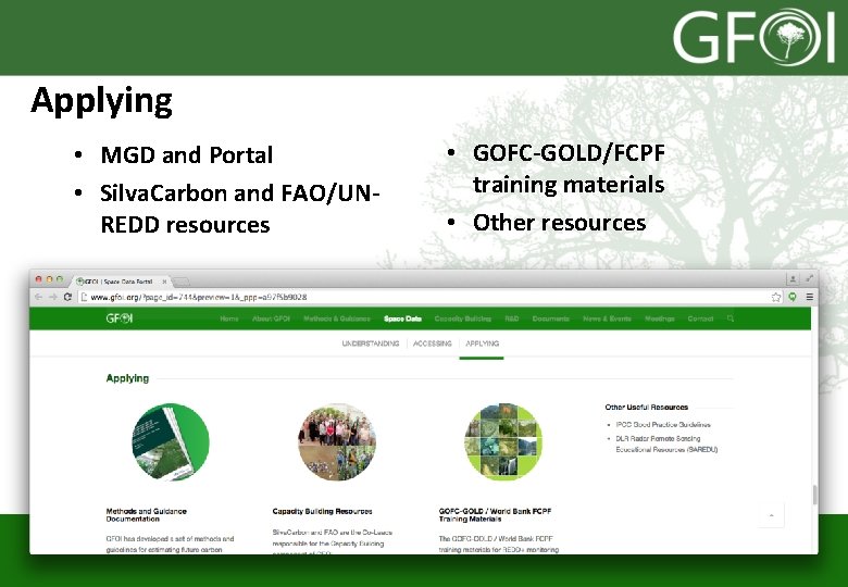 Applying • MGD and Portal • Silva. Carbon and FAO/UNREDD resources • GOFC-GOLD/FCPF training