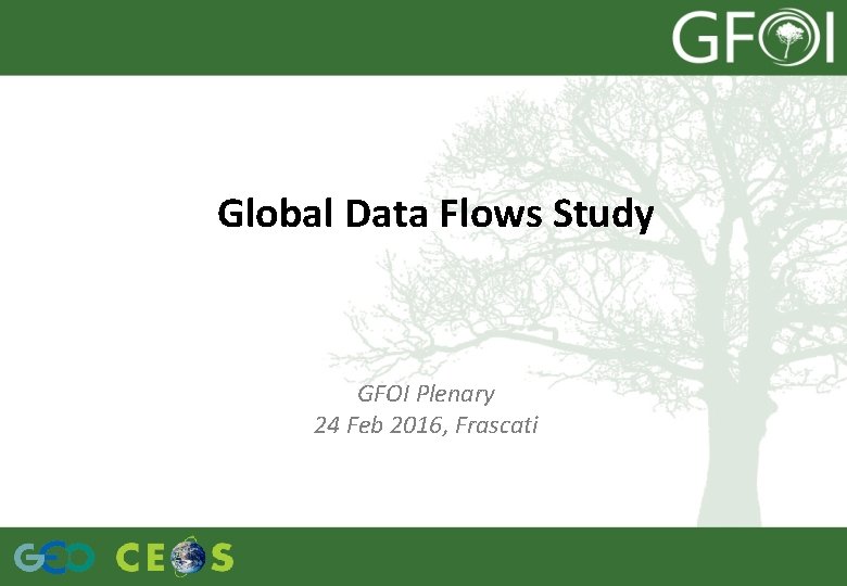 Global Data Flows Study GFOI Plenary 24 Feb 2016, Frascati 