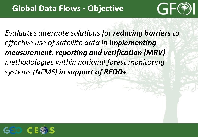 Global Data Flows - Objective Evaluates alternate solutions for reducing barriers to effective use