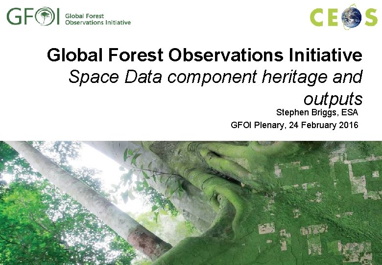 Global Forest Observations Initiative Space Data component heritage and outputs Stephen Briggs, ESA GFOI