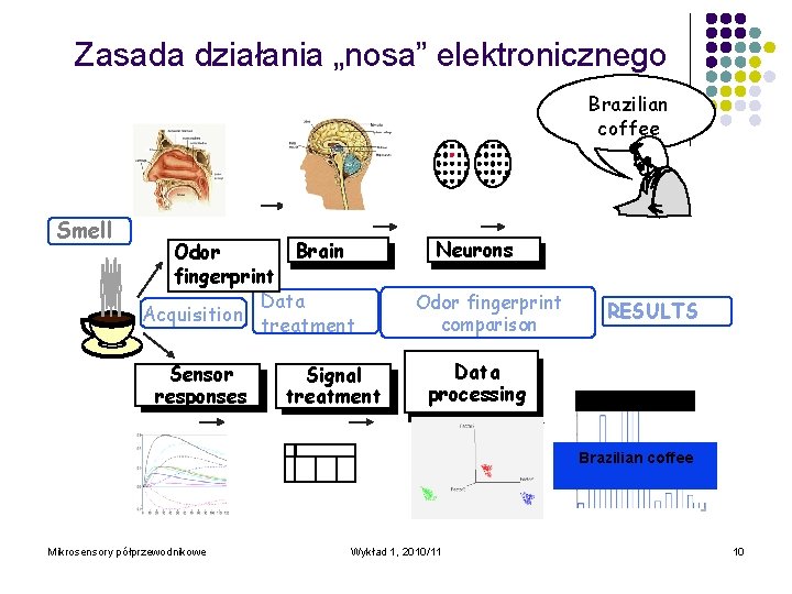 Zasada działania „nosa” elektronicznego Brazilian coffee Smell Brain Odor fingerprint Data Acquisition treatment Sensor