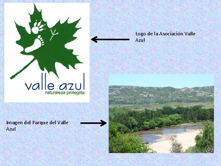 Logo de la Asociación Valle Azul Imagen del Parque del Valle Azul 
