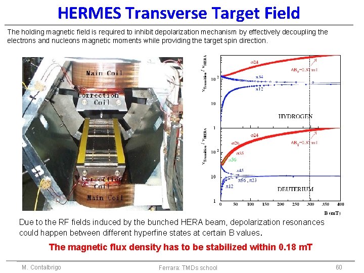 HERMES Transverse Target Field The holding magnetic field is required to inhibit depolarization mechanism