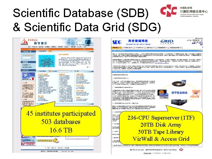 Scientific Database (SDB) & Scientific Data Grid (SDG) 45 institutes participated 503 databases 16.