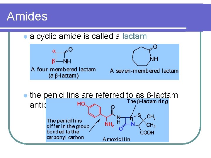Amides l l a cyclic amide is called a lactam the penicillins are referred