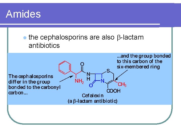 Amides l the cephalosporins are also b-lactam antibiotics 