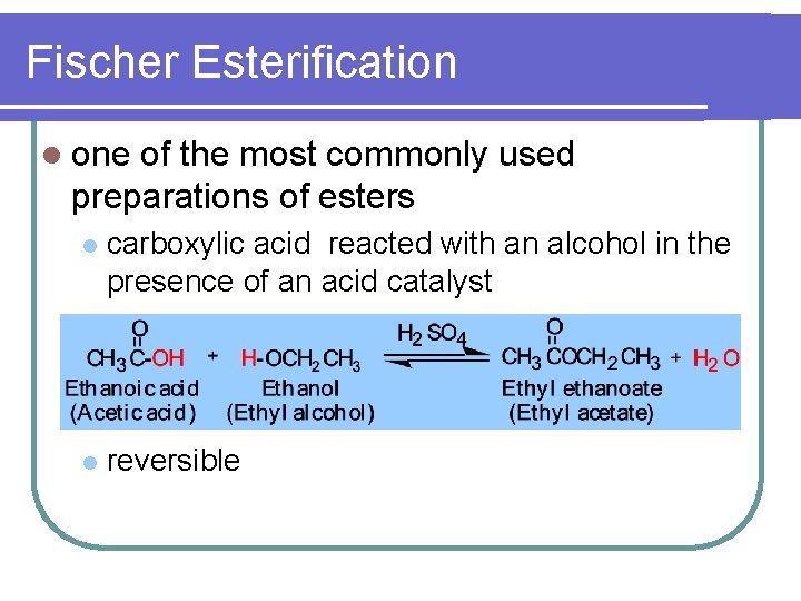 Fischer Esterification l one of the most commonly used preparations of esters l carboxylic