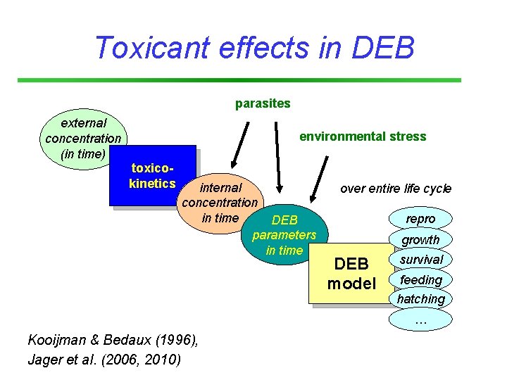 Toxicant effects in DEB parasites external concentration (in time) environmental stress toxicokinetics internal concentration