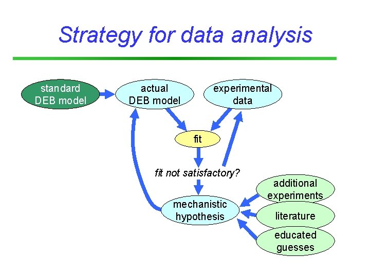 Strategy for data analysis standard DEB model actual DEB model experimental data fit not
