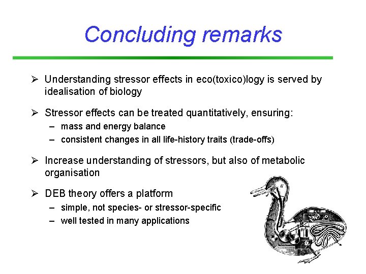 Concluding remarks Ø Understanding stressor effects in eco(toxico)logy is served by idealisation of biology