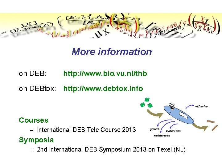 More information on DEB: http: //www. bio. vu. nl/thb on DEBtox: http: //www. debtox.