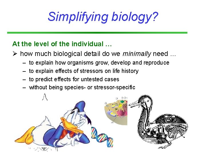 Simplifying biology? At the level of the individual … Ø how much biological detail