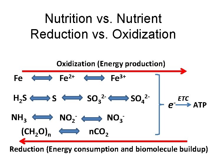 Nutrition vs. Nutrient Reduction vs. Oxidization (Energy production) Fe H 2 S Fe 3+