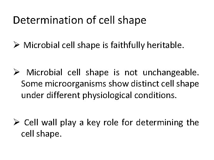 Determination of cell shape Ø Microbial cell shape is faithfully heritable. Ø Microbial cell