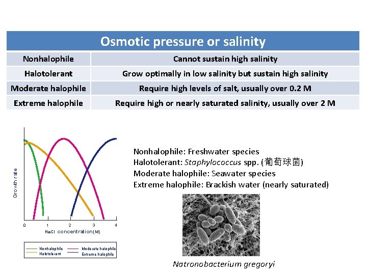 Osmotic pressure or salinity Nonhalophile Cannot sustain high salinity Halotolerant Grow optimally in low