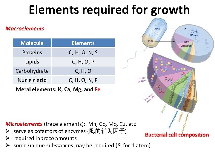 Elements required for growth Macroelements Molecule Elements Proteins C, H, O, N, S Lipids