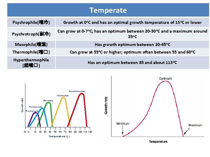 Temperate Psychrophile(嗜冷) Growth at 0 o. C and has an optimal growth temperature of
