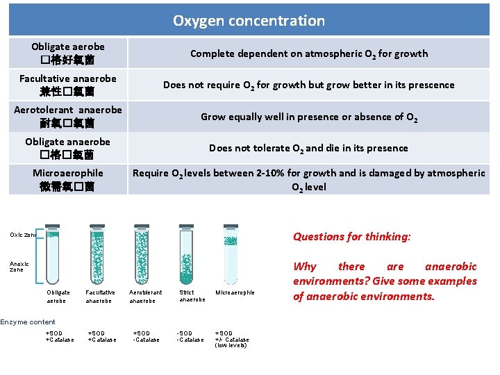 Oxygen concentration Obligate aerobe �格好氧菌 Complete dependent on atmospheric O 2 for growth Facultative