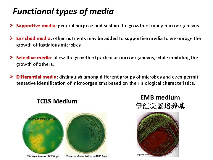 Functional types of media Ø Supportive media: general purpose and sustain the growth of