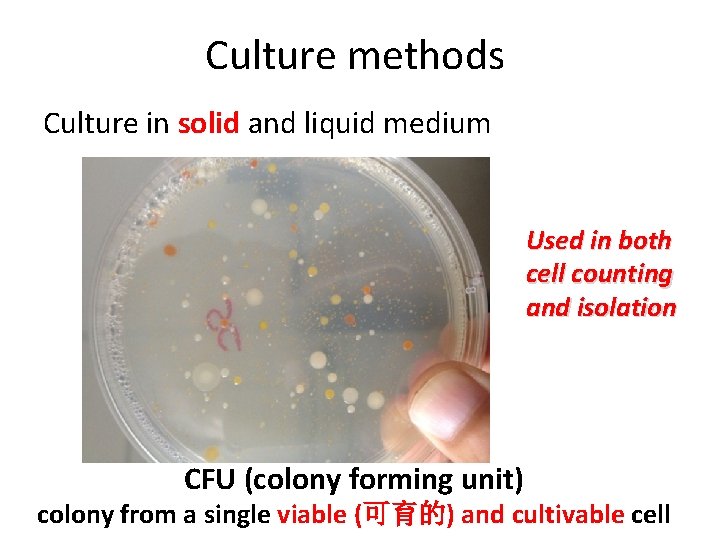 Culture methods Culture in solid and liquid medium Used in both cell counting and