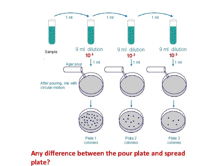 1 ml Sample 1 ml 9 ml dilution 10 -1 Agar pour 1 ml