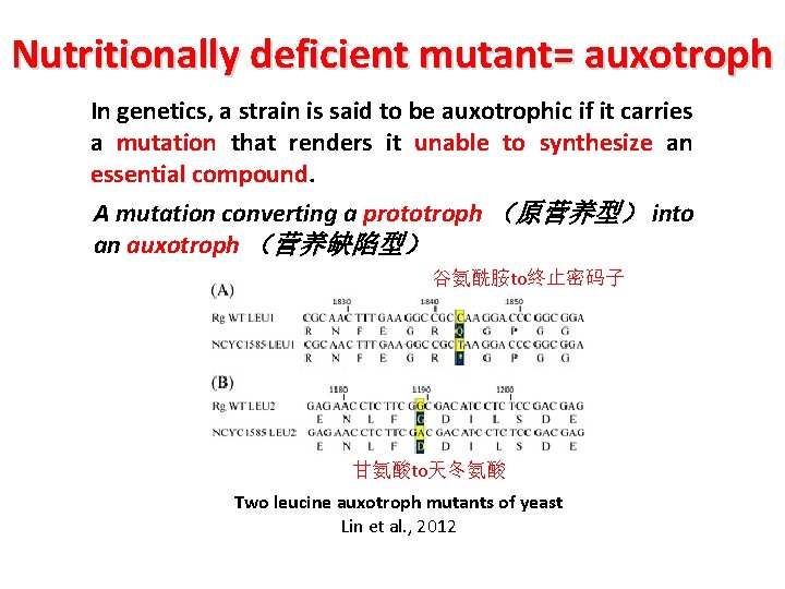 Nutritionally deficient mutant= auxotroph In genetics, a strain is said to be auxotrophic if