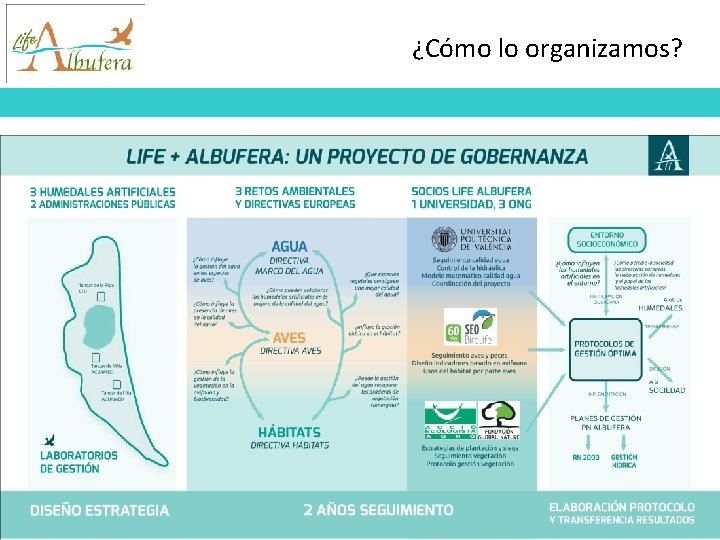 ¿Cómo lo organizamos? 