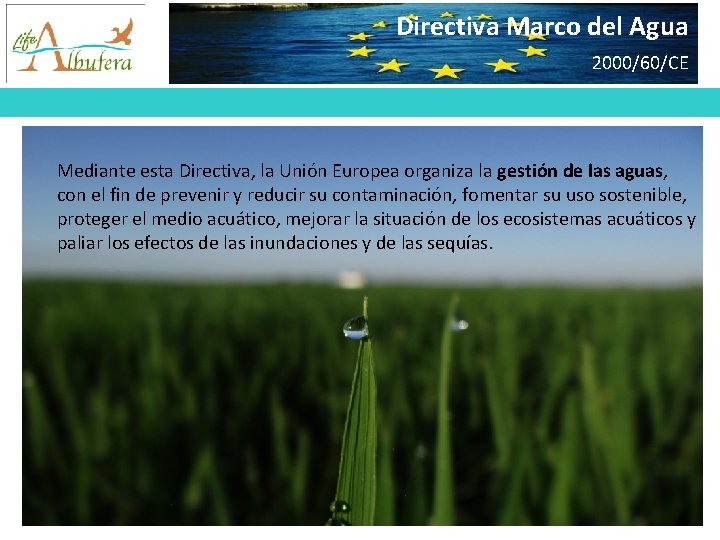 Directiva Marco del Agua 2000/60/CE Mediante esta Directiva, la Unión Europea organiza la gestión