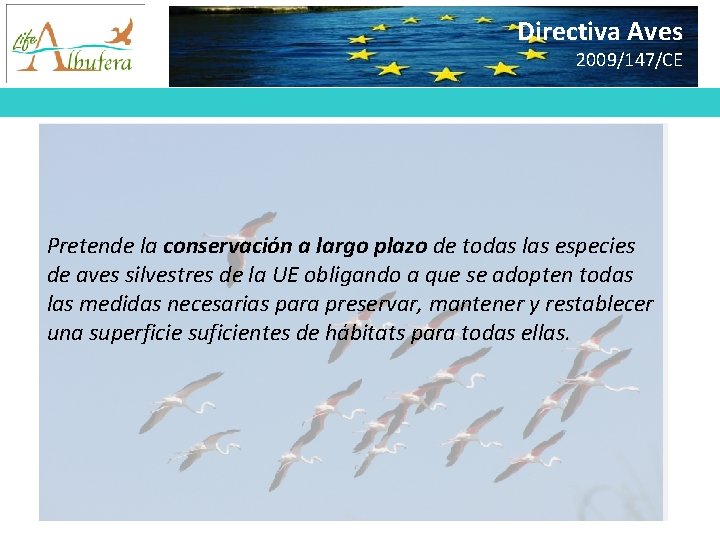 Directiva Aves 2009/147/CE Pretende la conservación a largo plazo de todas las especies de