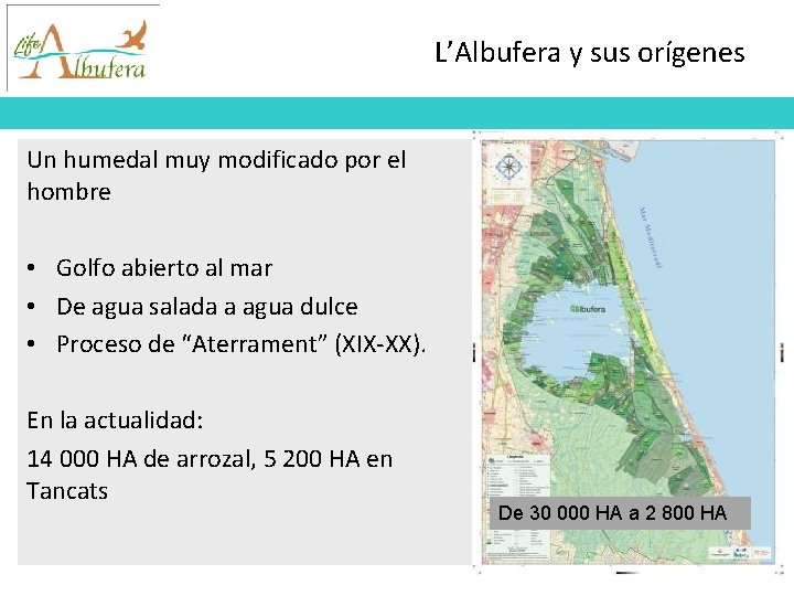 L’Albufera y sus orígenes Un humedal muy modificado por el hombre • Golfo abierto