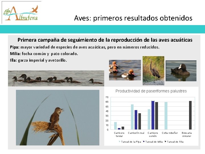 Aves: primeros resultados obtenidos Primera campaña de seguimiento de la reproducción de las aves