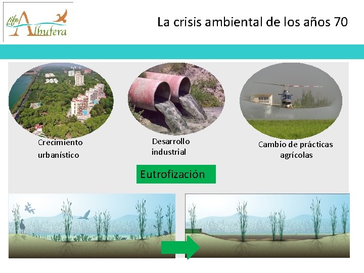 La crisis ambiental de los años 70 Crecimiento urbanístico Desarrollo industrial Eutrofización Cambio de