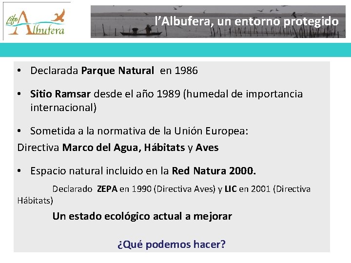 l’Albufera, un entorno protegido • Declarada Parque Natural en 1986 • Sitio Ramsar desde