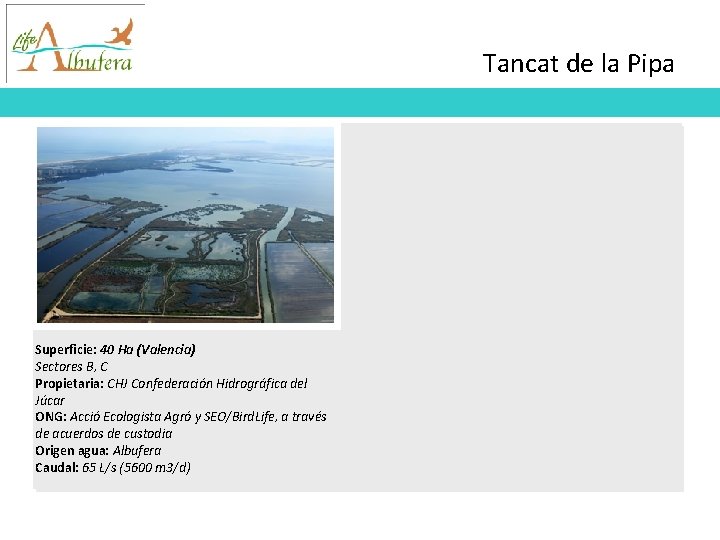 Tancat de la Pipa Superficie: 40 Ha (Valencia) Sectores B, C Propietaria: CHJ Confederación